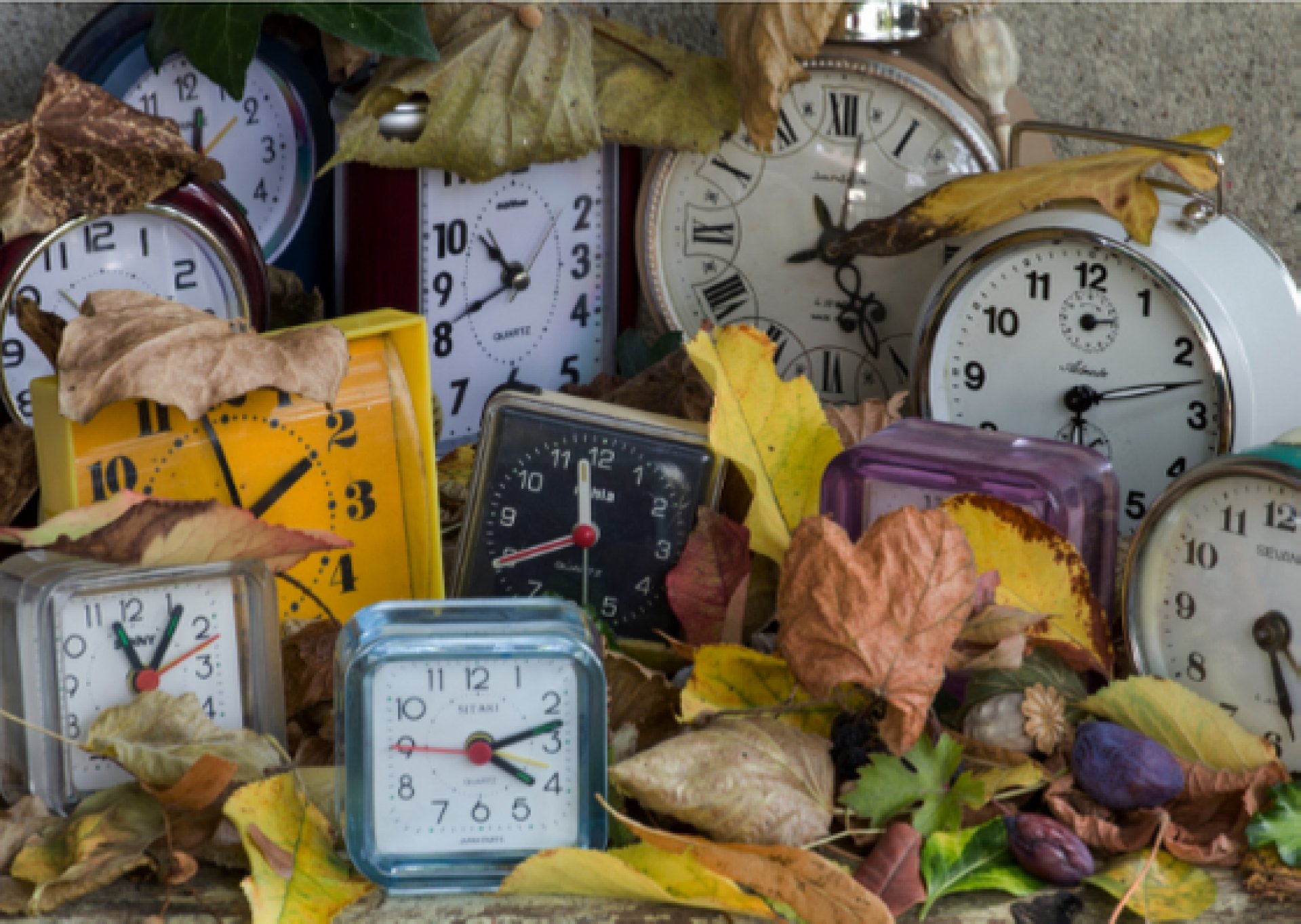 Ontwerp-zonder-titel-(32)