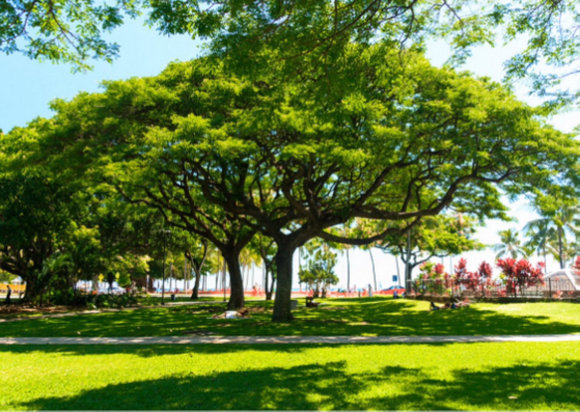 Park-met-verkoelende-schaduw