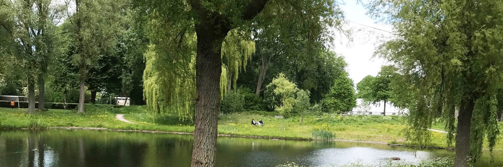 Blauwe Goud banner website