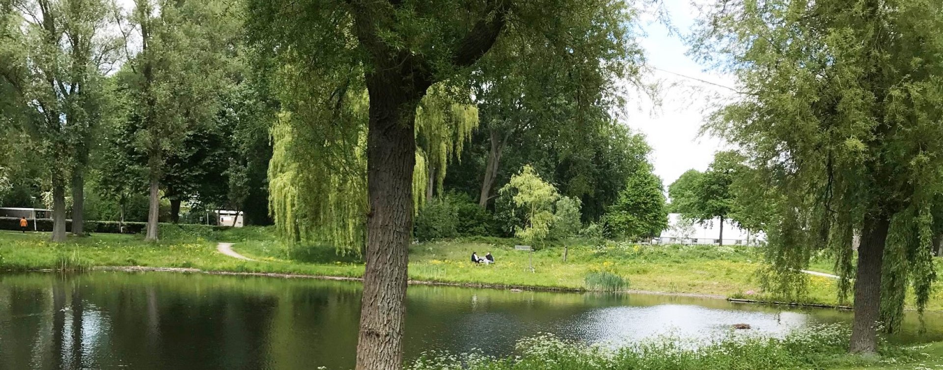 Blauwe Goud banner website