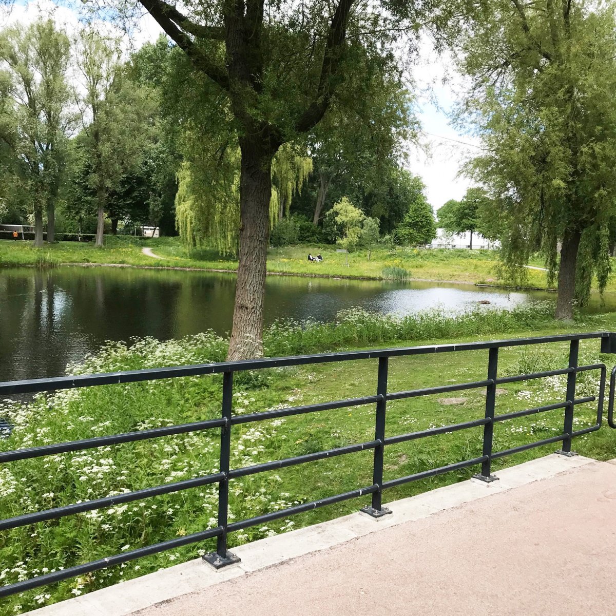 Blauwe Goud met logo