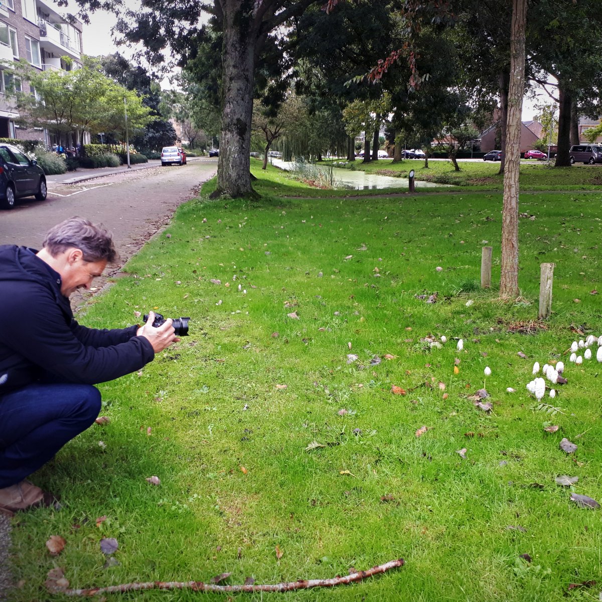 Bas filmt paddestoelen