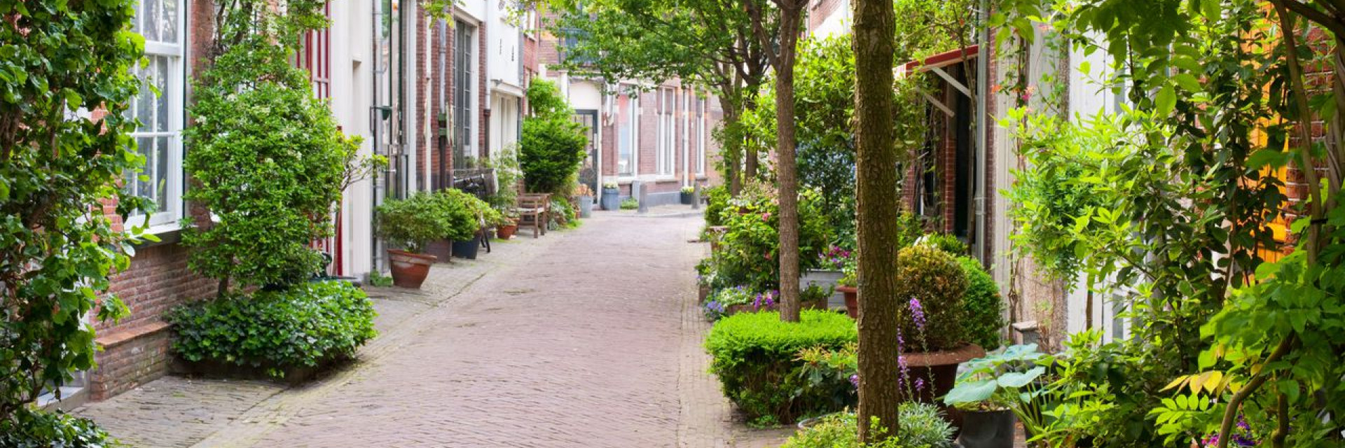 Blog Gerrit Hasperhoven Header