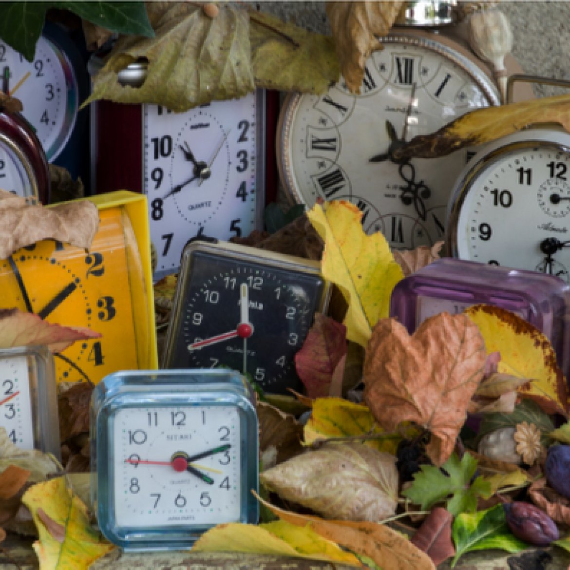 Ontwerp zonder titel (32)